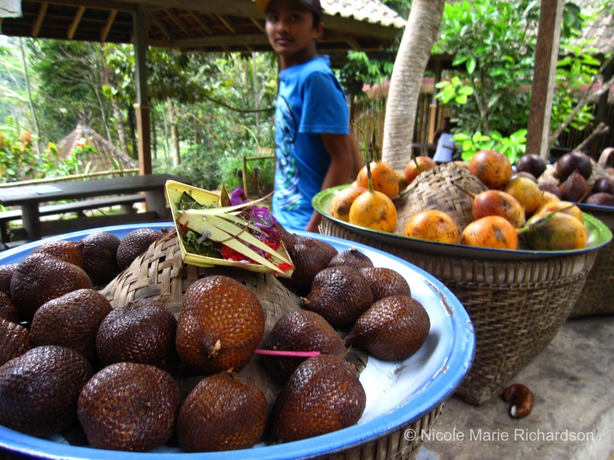 Snake Fruit