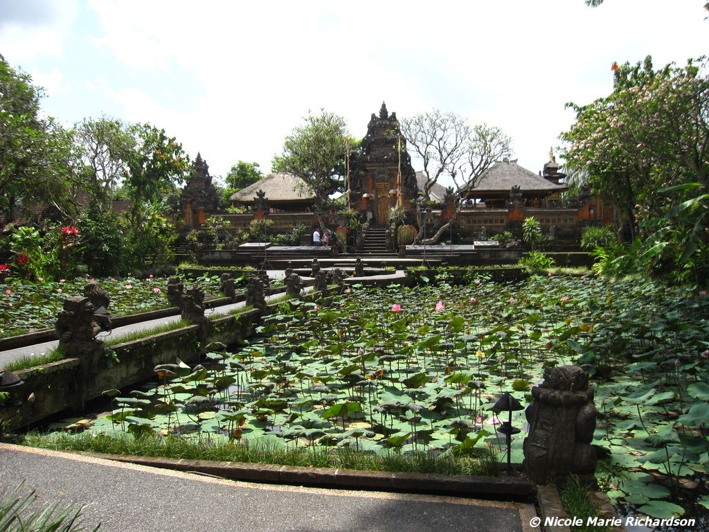 Pura Taman Saraswati