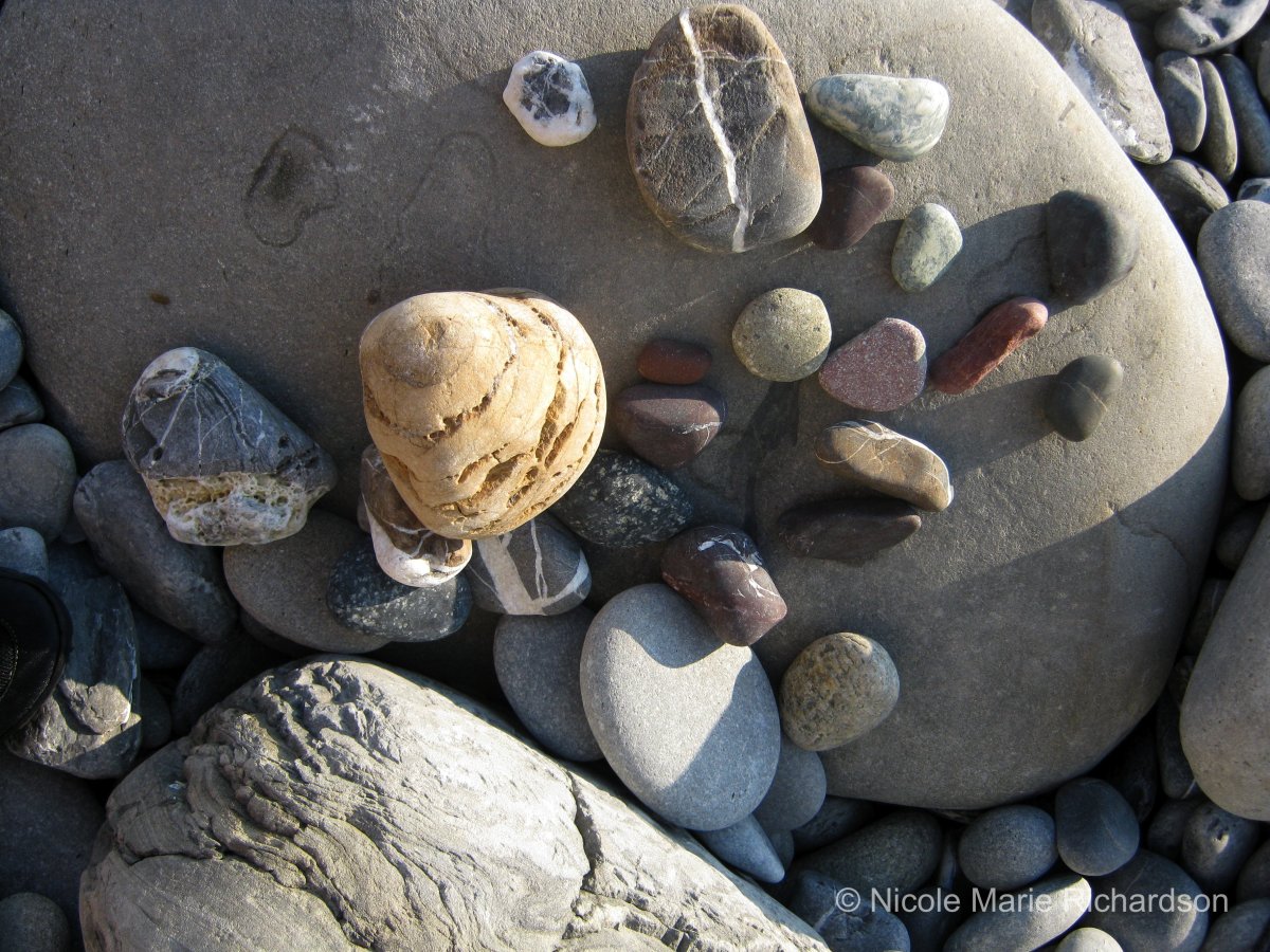 Between Manarola & Corniglia