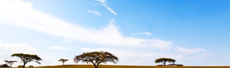 Ethiopia (shutterstock)