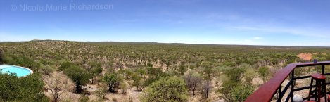 View from Etosha Safari Lodge restaurant